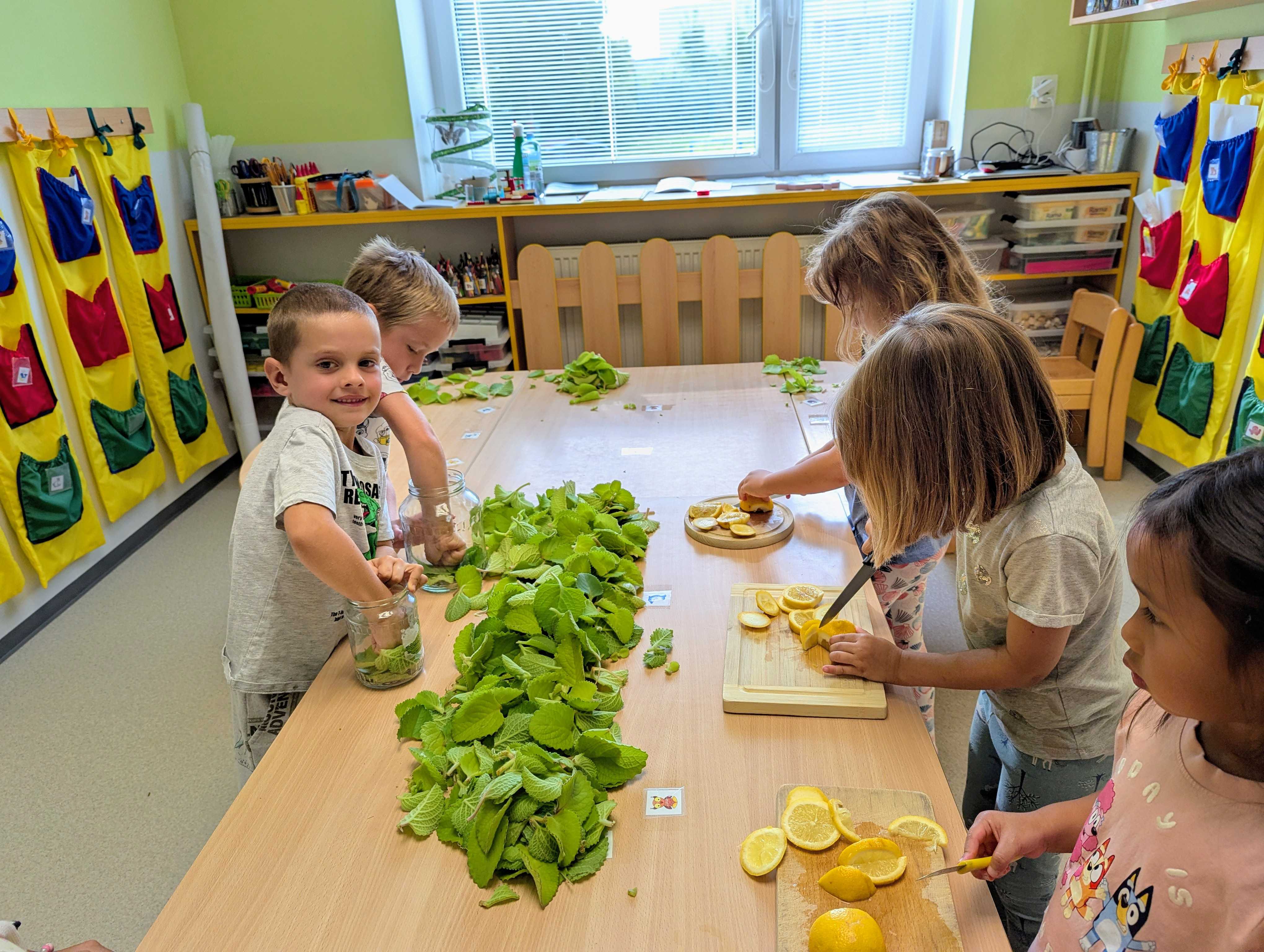 Výroba rýmovníkového sirupu