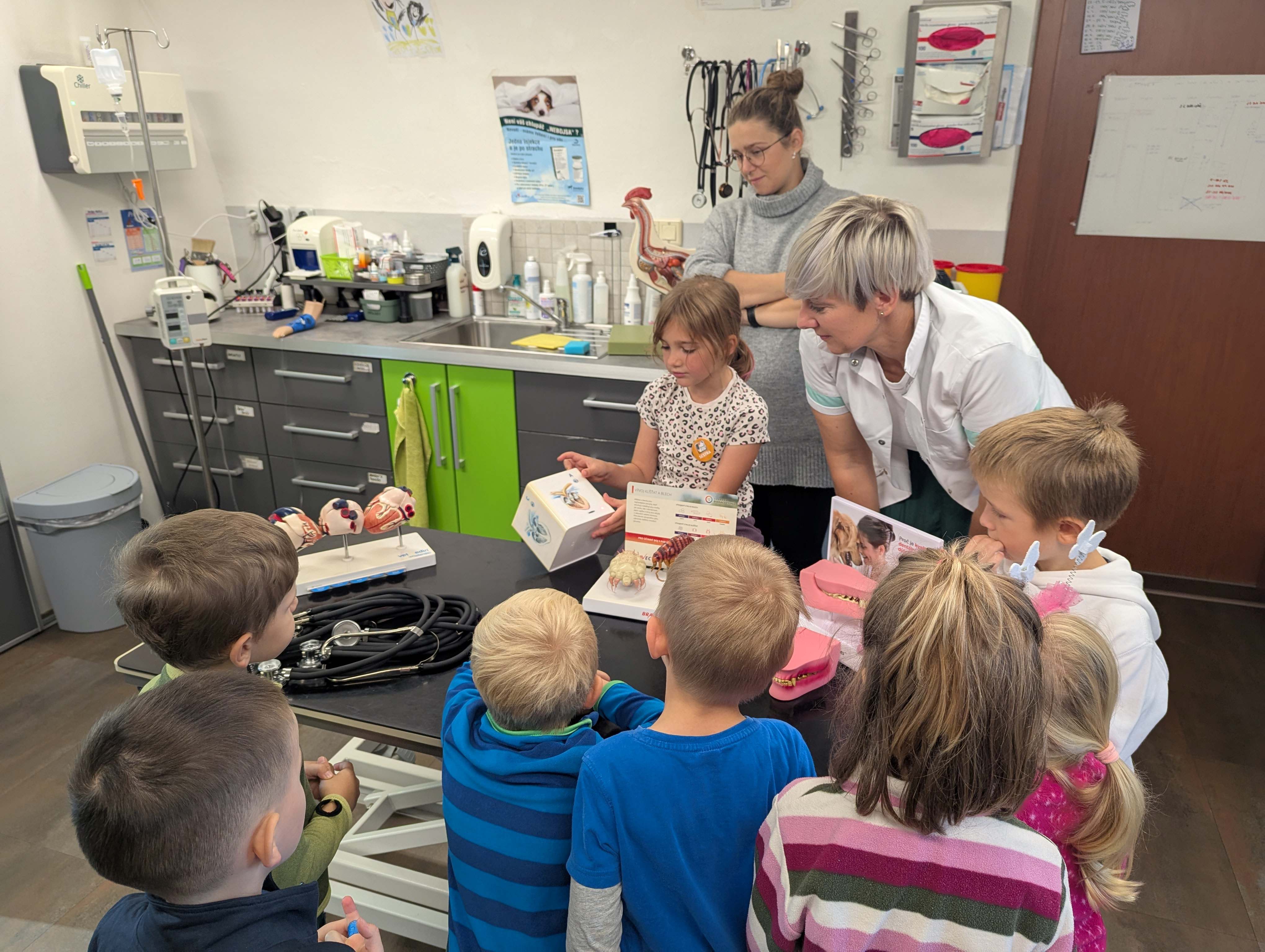 Návštěva veterinární ordinace