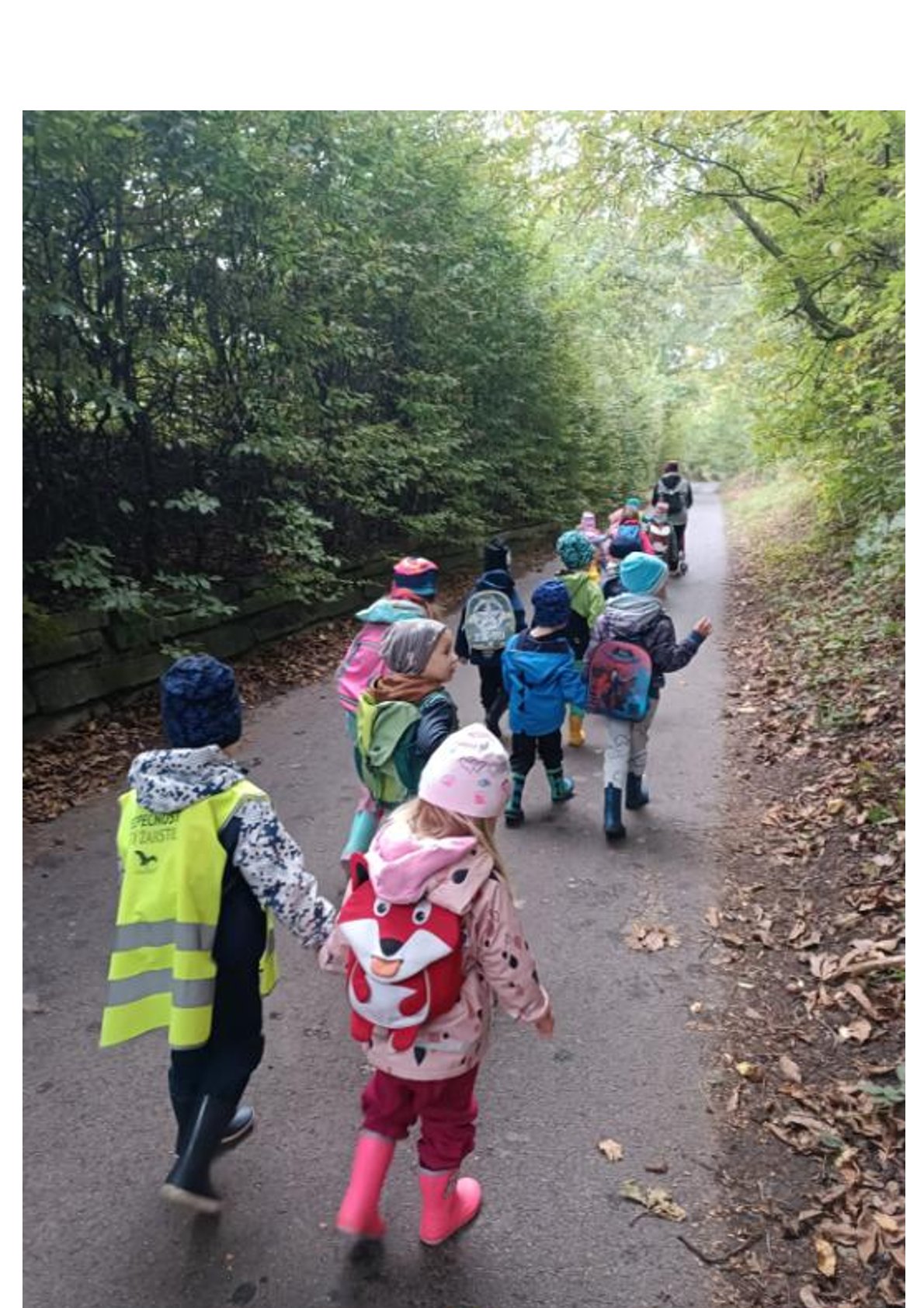 Páteční výprava - Cesta na Borek