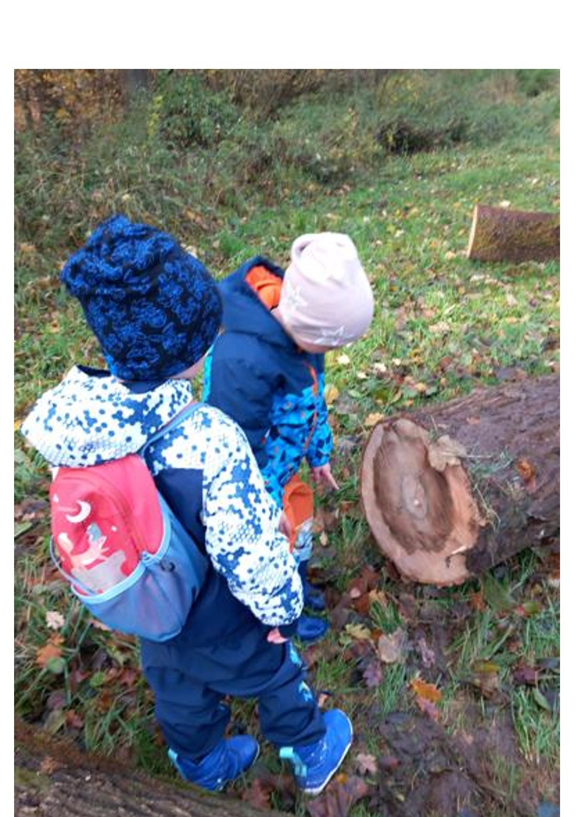 Páteční výprava do lesa