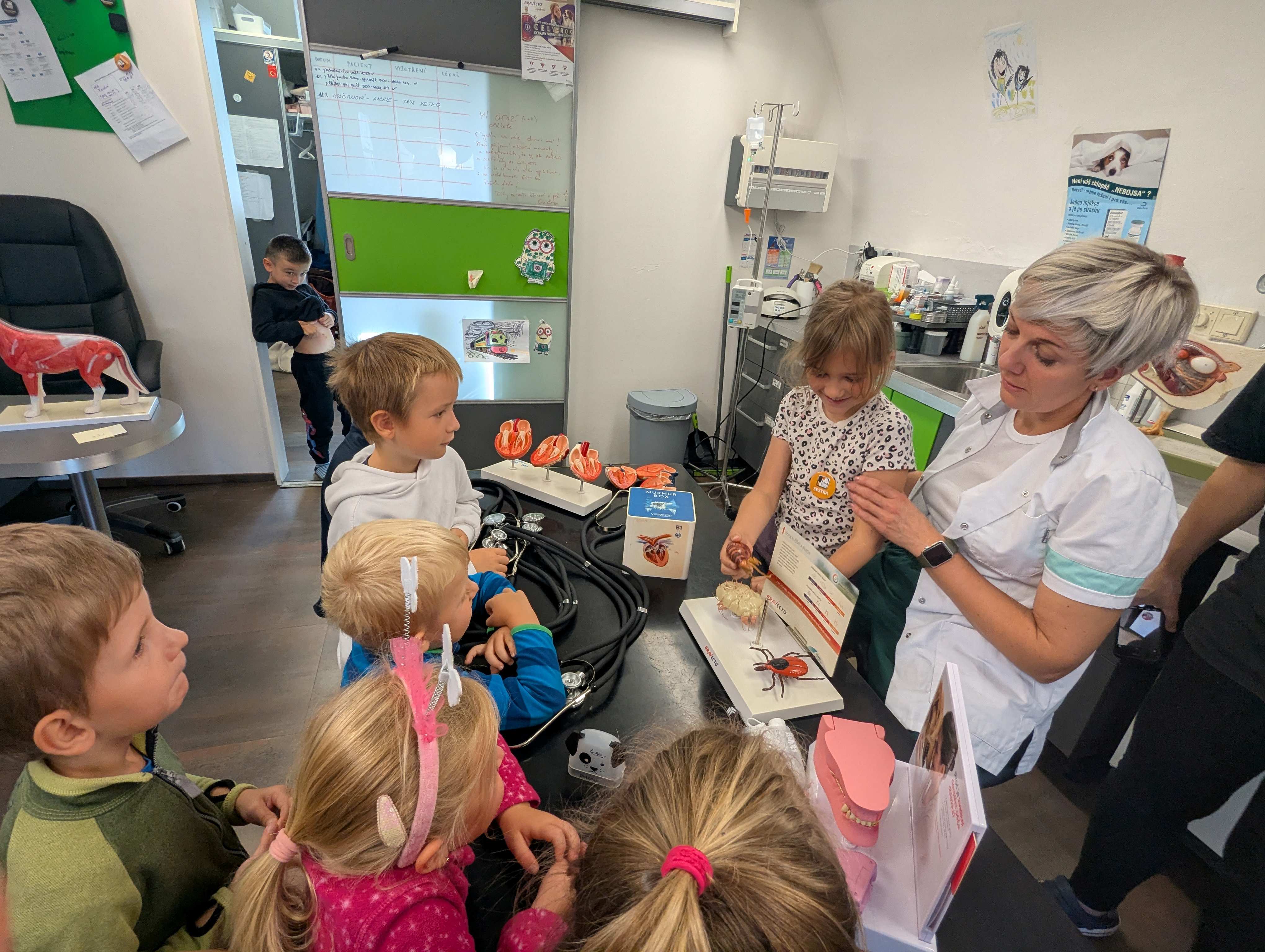 Zvířata mohou mít blechy i klíšťata.