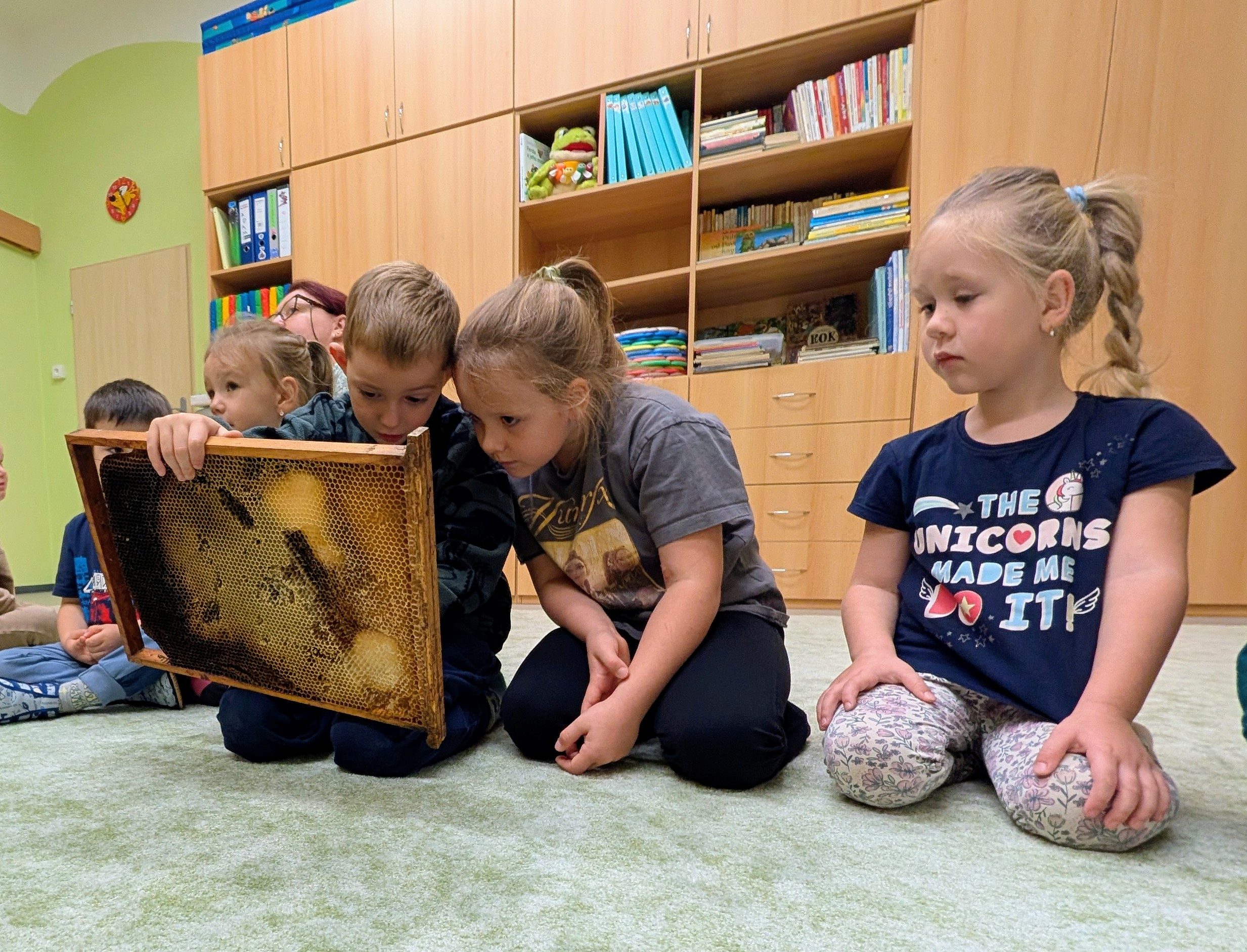Za poznáním fascinujícího světa včel